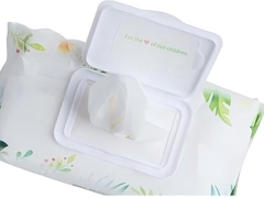 پوشش پاک کننده مرطوب